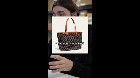 who owns goyard|goyard revenue.